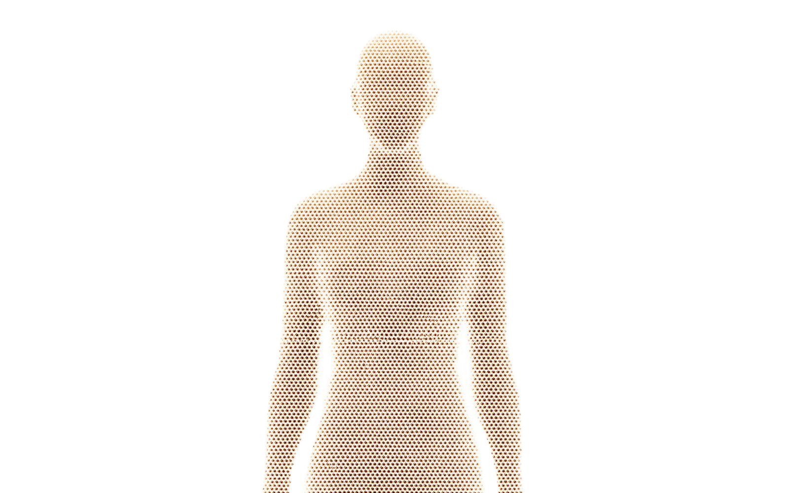 NordicTwin head-to-waist halftone visualization